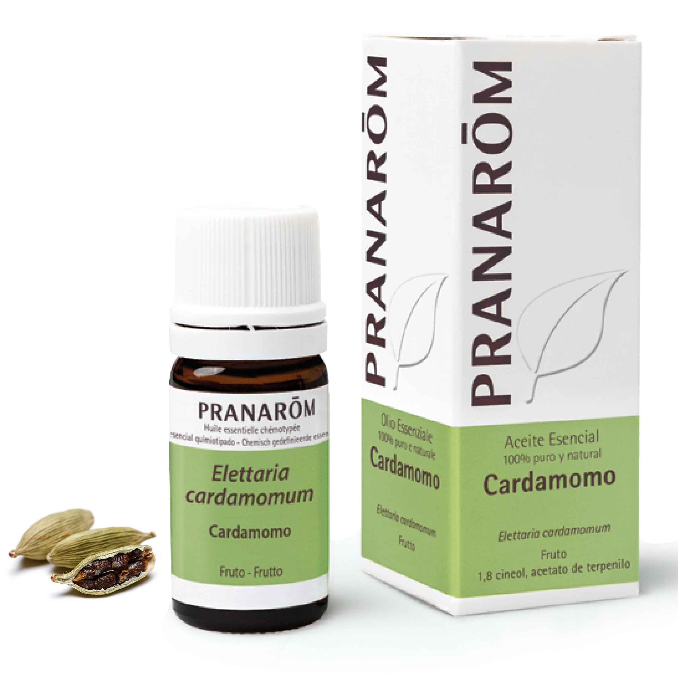 Cardamomo